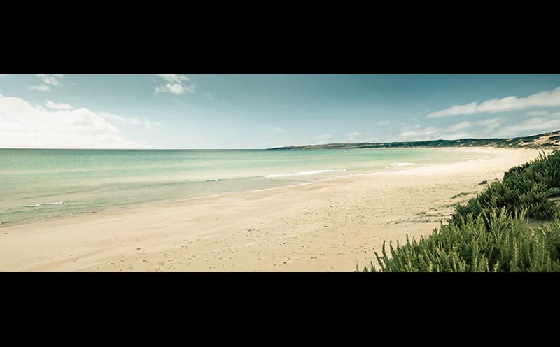 Phoques Bay